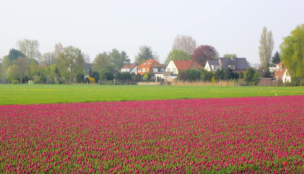 Bed & Breakfast Bij Janzen Zwaanshoek 외부 사진